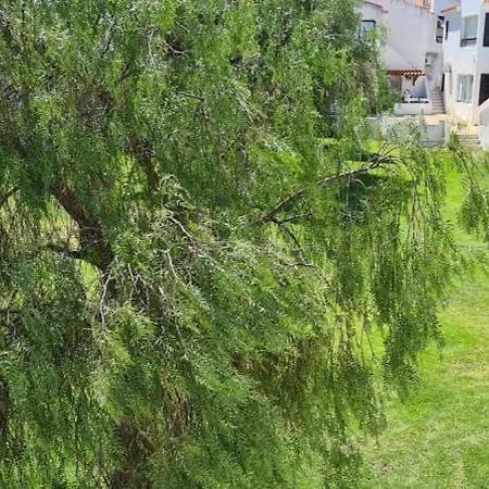 Pedras D'el Rei - Relax Estudio 타비라