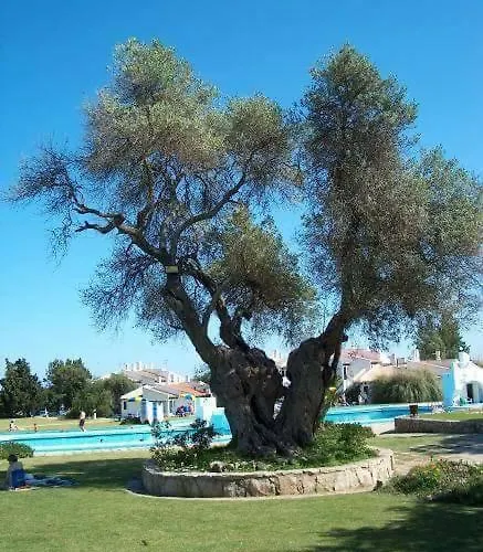 Apartman Pedras D'el Rei - Relax Estudio