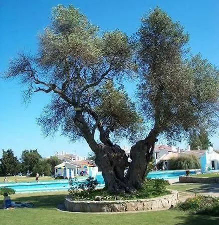 Διαμέρισμα Pedras D'el Rei - Relax Estudio